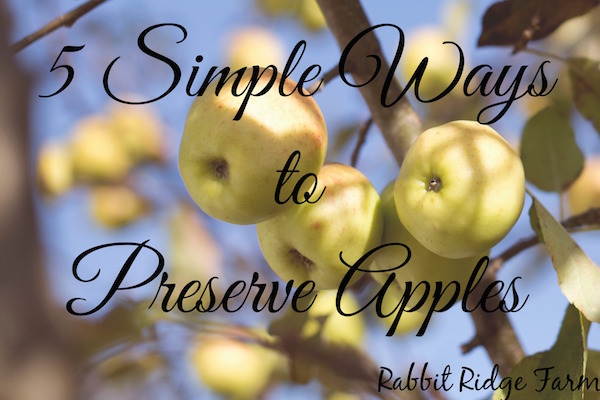 5 Simple Ways to Preserve Apples