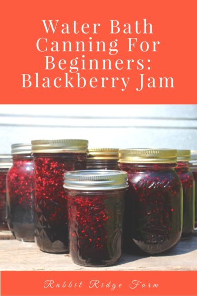 Water Bath Canning for Beginners: Blackberry Jam