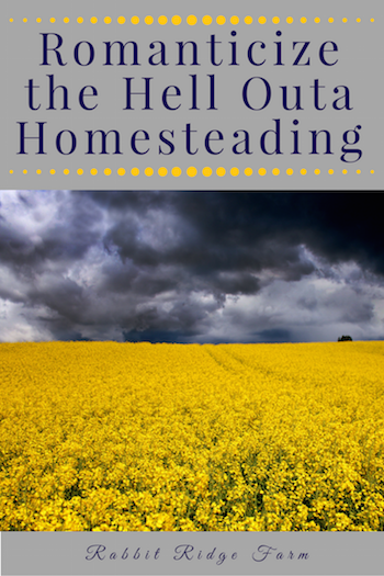 Romanticize the Hell Outa Homesteading